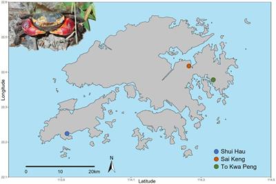 Conserved organ-specific microbial assemblages in different populations of a terrestrial crab